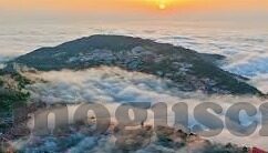 变形金刚4中文字幕-变形金刚4，中文字幕下的科技与人性交织