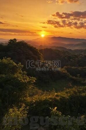 日韩国av网站-日韩AV网站，文化、法律与个人选择的交汇点