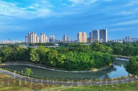 糖心app旧版-触摸经典记忆，重温糖心app旧版的温馨与旧趣