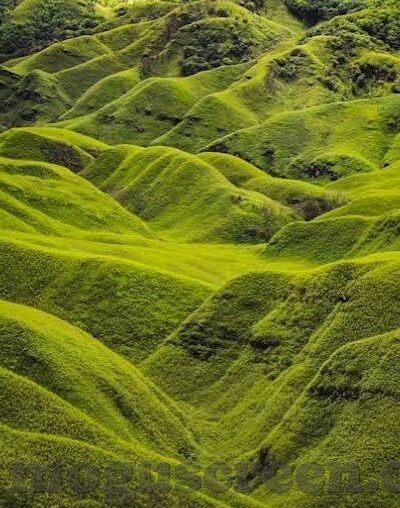 糖心vlog免费ios-糖心Vlog的魅力，解锁iOS平台的视频日志新体验