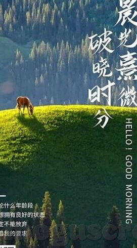 中文字幕日韩一区二区三区不卡-探索日韩影视文化，中文字幕下的多元视角与文化交流